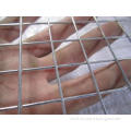 Low Carbon Steel Welded Wire Mesh Rust Resistant Netting Fo